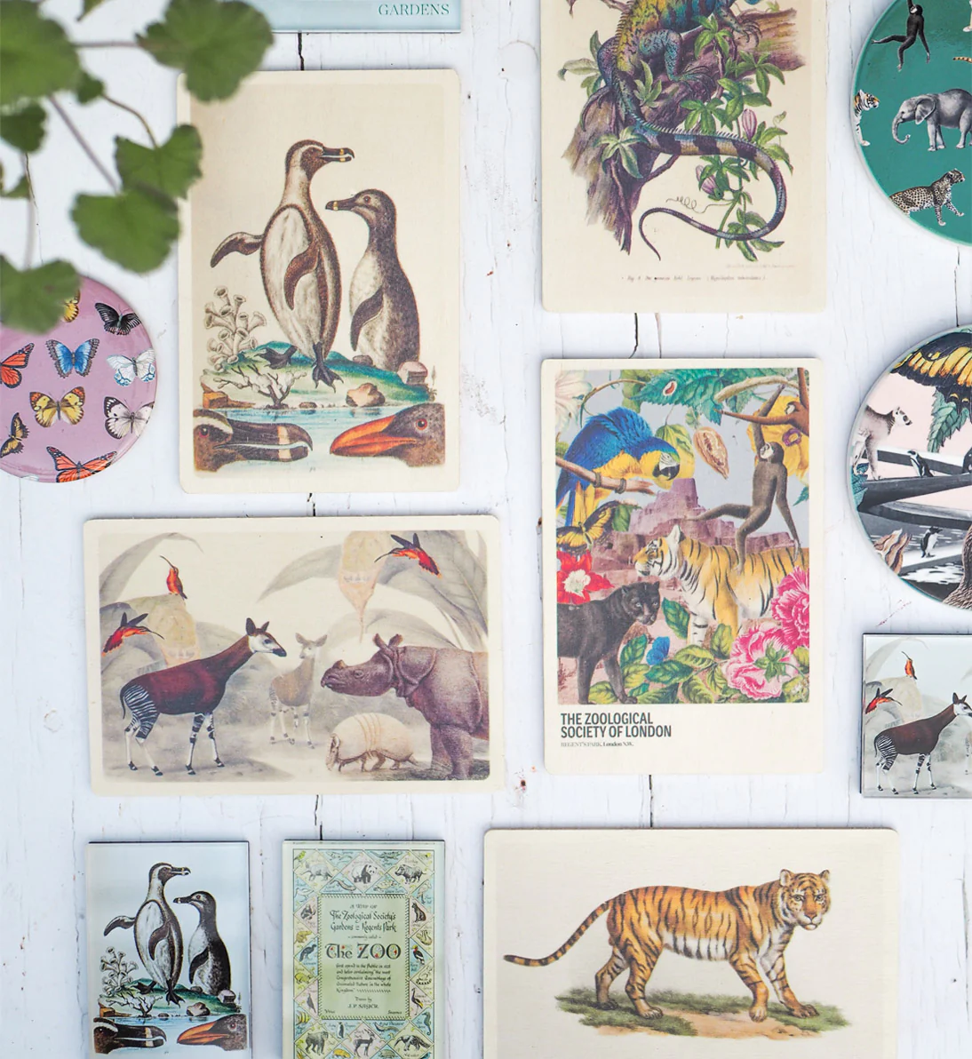 Shop Gifts, Save Wildlife